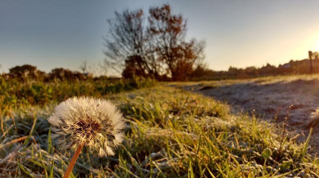 Frosty autumn morning in Norfolk countryside