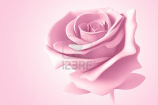 Roses Album Wallpaper Beautiful Images Of Roses For Free