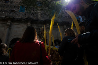 Ferran Taberner i Raset, Fotoviva