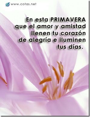 .com/img/b/R29vZ2xl/AVvXsEiDQt-C0mk8dOz-j02IKlCjwuaO3eqhJMWNEiQd7dflhtm_cOkXyLdb_BGK2_ojBfJxe82pXssU4Wtb01bPNB8QQbbYKG3meXSY60Je47pWXdUk3fYsg5MjpLE61i0SVtTDNzjZ2qZIBCqa/