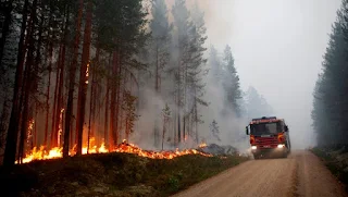 Sweden struggles to contain wildfires