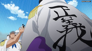 ワンピースアニメ ドレスローザ編 685話 | ONE PIECE Episode 685