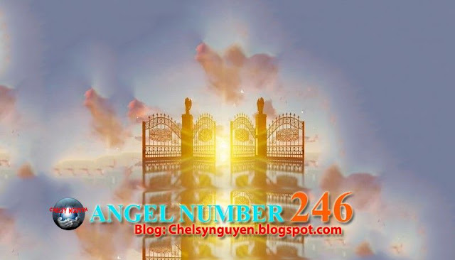 NUMBER 246 ANGEL | Ý NGHĨA SỐ 246