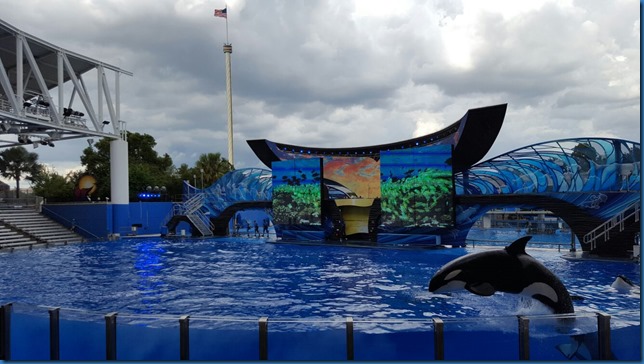 Orca