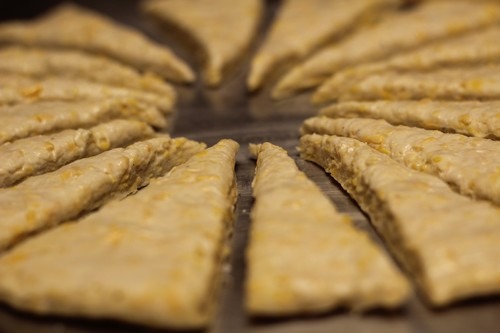 cheese-scones016