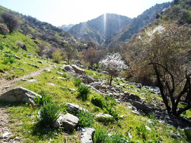 Hike to the Fanfarok waterfall at the 21st kilometer of the Varzob gorge, mountains of Tajikistan