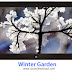 Winter Garden - Winter Theme 2015 Free Download