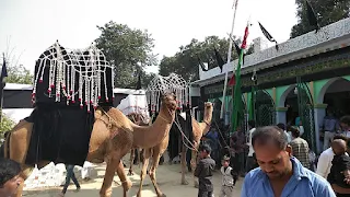 Jaunpur Live : इमाम हुसैन ने इंसानियत को मरने से बचाया : मौलाना नेसार हुसैन