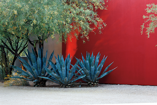 Drought Landscaping