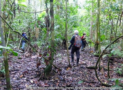 Birding in Malagufuk village with 2 Australian birders