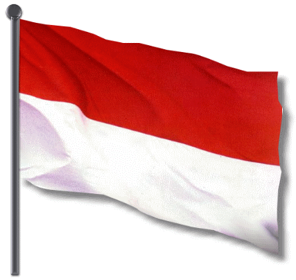 indonesian flag. I own an Indonesian flag,