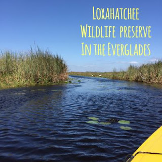 https://www.fws.gov/refuge/arm_loxahatchee/