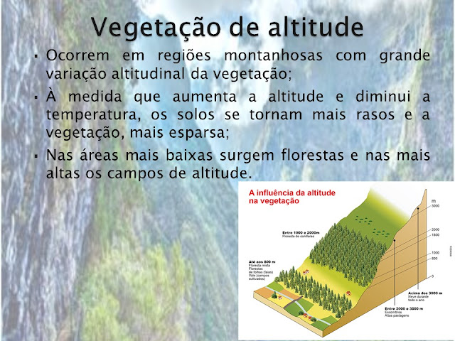 slides portal geographia