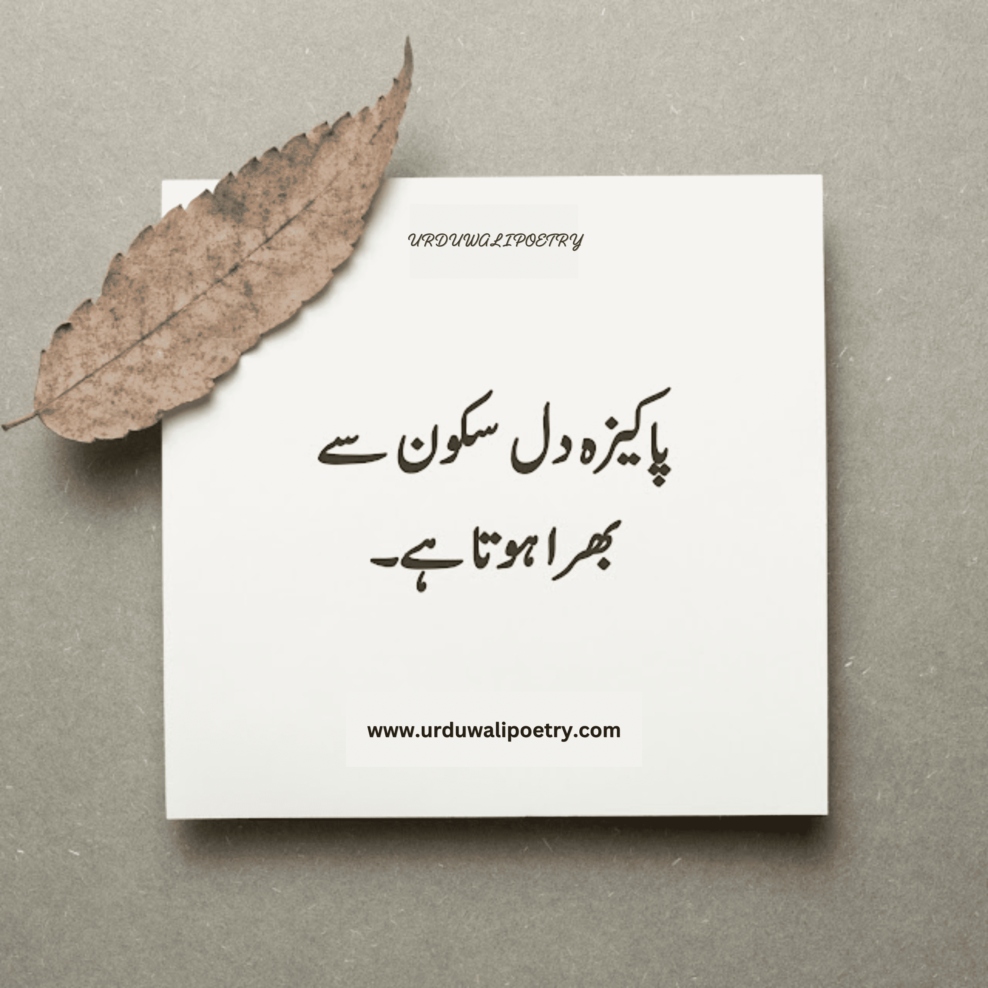 Motivational Quotes in Urdu About Life | Wisdom Quotes | Deep Quotes