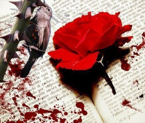 Cerita disaat senja: The Nightingale & The Rose