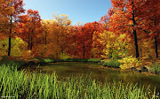 Fondo de pantalla de una laguna en medio de los arboles de colores (fondo de pantalla de una laguna en medio de los arboles de colores)