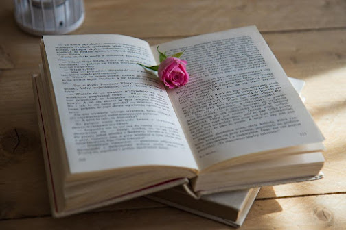 Top 10 Romantic Novels That Teenagers Must Read