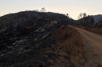 View northwest toward water tank 14 (about half way to Mount Bliss) on Van Tassel Fire Road surrounded by damage from the Fish Fire, June 30, 2016