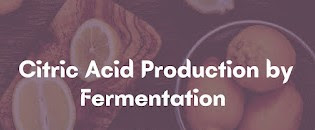 Industrial Production of Citric Acid by Aspergillus niger | Flowchart