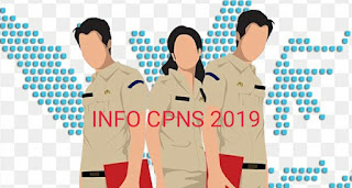 Lowongan Kerja CPNS 2019 Kabupaten Tasikmalaya