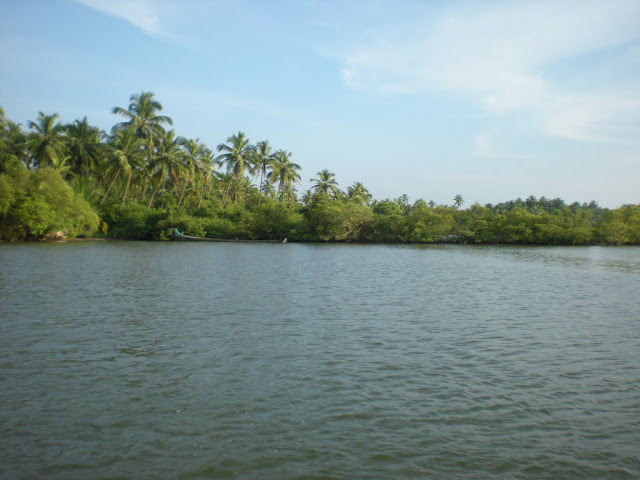 Kerala rivers