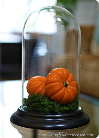decorating with pumpkins