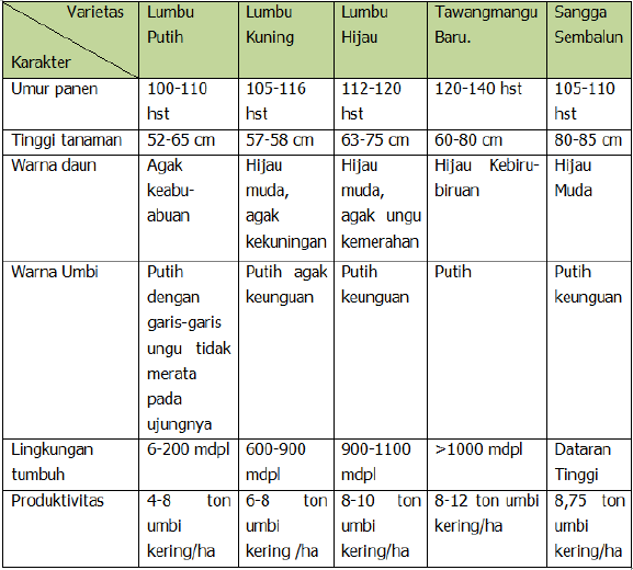 Varietas Bawang Putih di Indonesia