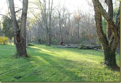 Yard2