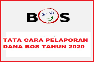 TATA CARA PELAPORAN DANA BOS TAHUN 2020