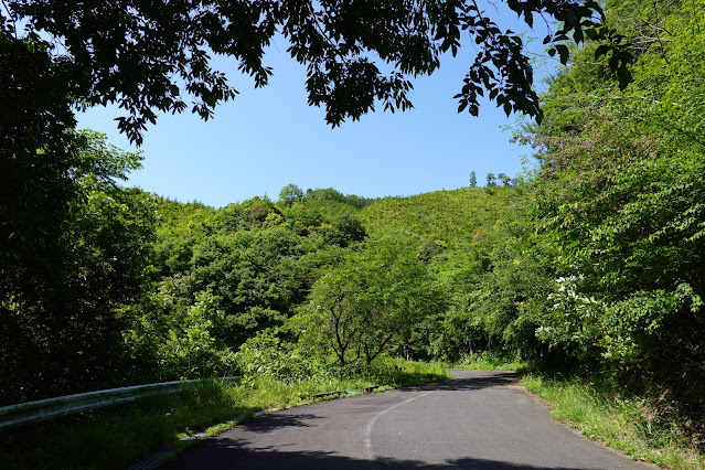 鳥取県西伯郡南部町焼杉 鎌倉山グリーンラインからの眺望