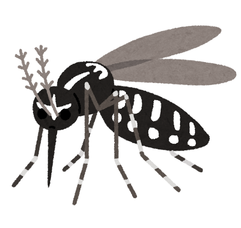 ヒトスジシマカのイラスト かわいいフリー素材集 いらすとや ヒトスジシマカのイラスト かわいいフリー素材集 いらすとや