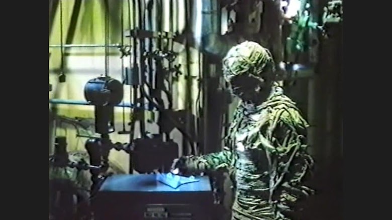 Pasajero del Tiempo 1982 latino dvdrip