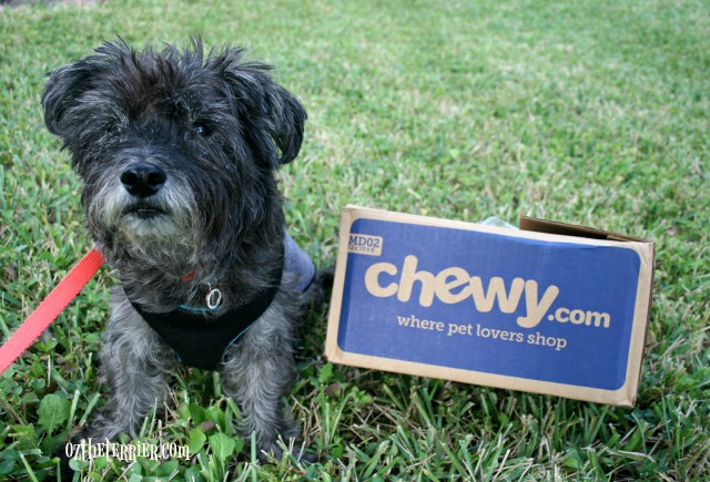 oz loves chewy.com tv commercial