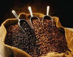 The Typical of Arabica coffee