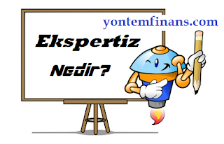 Ekspertiz Nedir?  Neden Önemlidir?