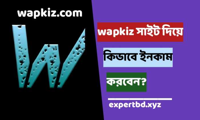 Wapkiz দিয়ে কিভাবে টাকা আয় করবো