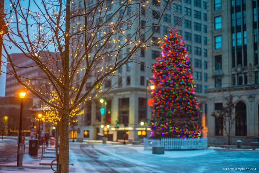 Portland, Maine USA December 2014 Monument Square Winter Holiday Lights and Decorations photo by Corey Templeton
