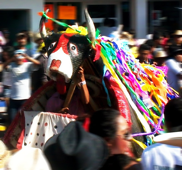 Danza en el pendon de Chilpancingo 2013 - El toro de petate