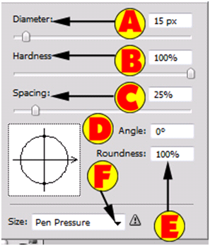 Brush Options For Healing