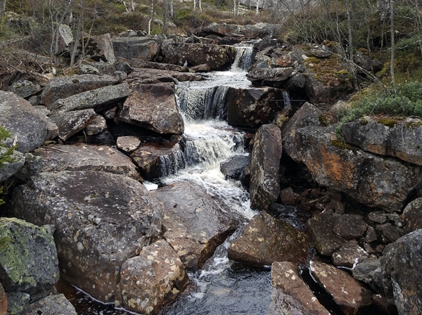 kollsjøen delingskollen fjelltoppjakten