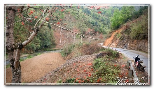 Cảnh Đẹp Việt Nam