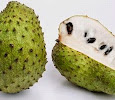 Health Benefits of Soursop or Shawachop (Annona muricata)
