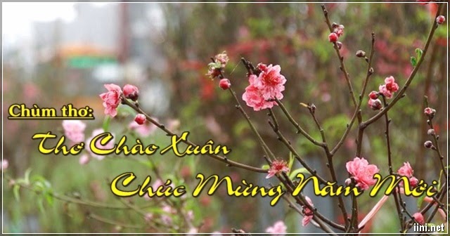 TOP Thơ Chào Xuân Kỷ Hợi & Chúc Mừng Năm Mới 2019 Hay