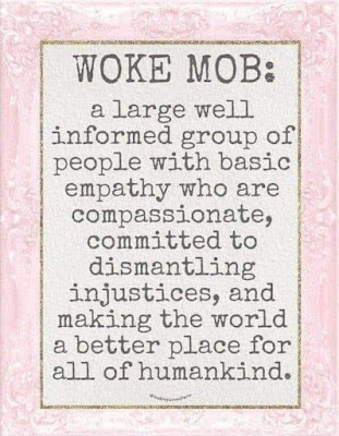 Definition of a WOKE MOB - meme