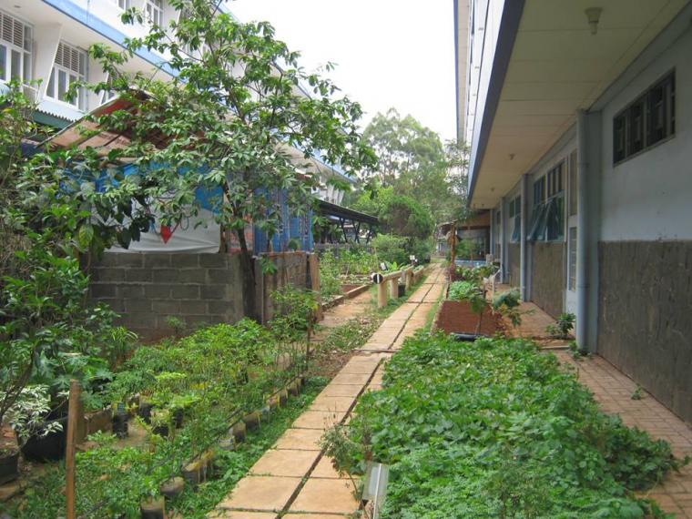 Pengertian Dan Standar Sekolah Sehat, Aman, Ramah Anak, Dan Menyenangkan 