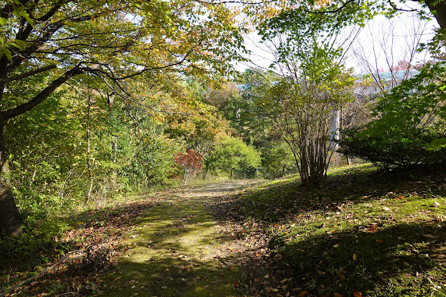 鳥取県西伯郡南部町鶴田　とっとり花回廊　秋の風景