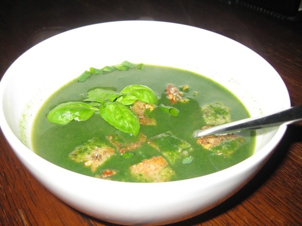 2011-04-21 Neslesuppe (14)