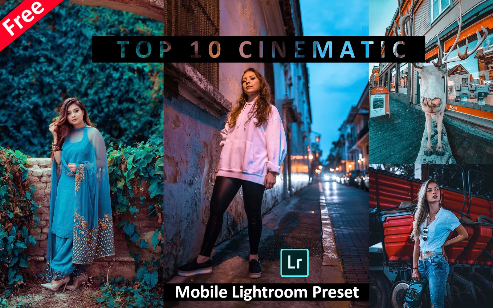 Download Top 10 CINEMATIC Mobile Lightroom Presets for ...