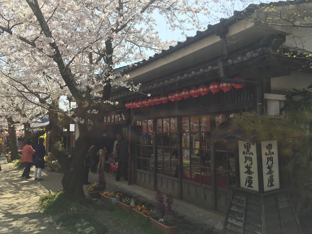 hanami,cherry blossom viewing,hanami,sakura,お花見,桜,秋月,秋月杉の馬場の桜,福岡県朝倉市,あまざけ,発芽玄米甘酒,黒米甘酒,(株)篠崎,国菊,amazake,廣久葛本舗,高木久助,葛餅,葛きり