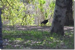 IMG_2742